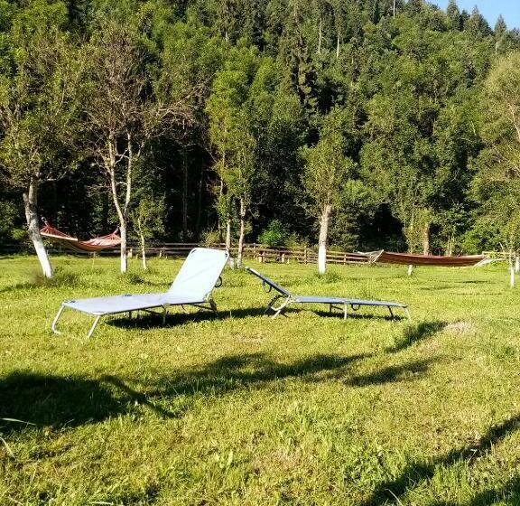 فندق Casa Ursului