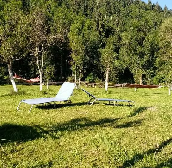 هتل Casa Ursului