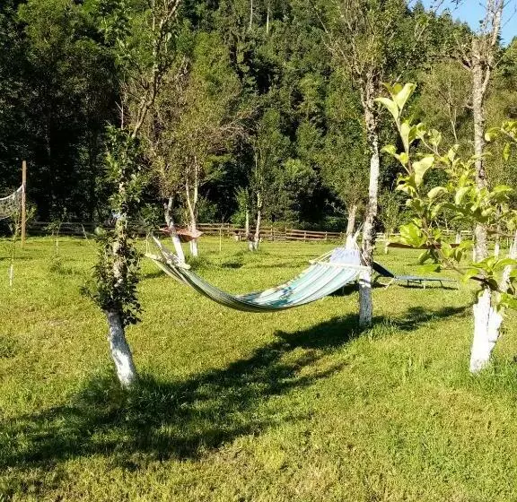 هتل Casa Ursului