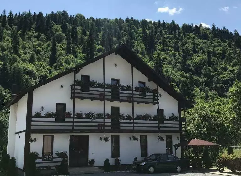 هتل Casa Ursului
