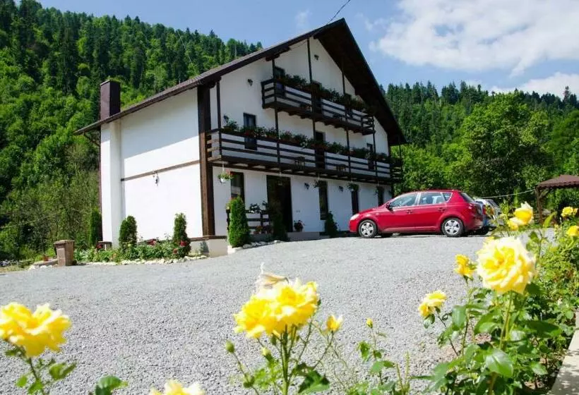 هتل Casa Ursului