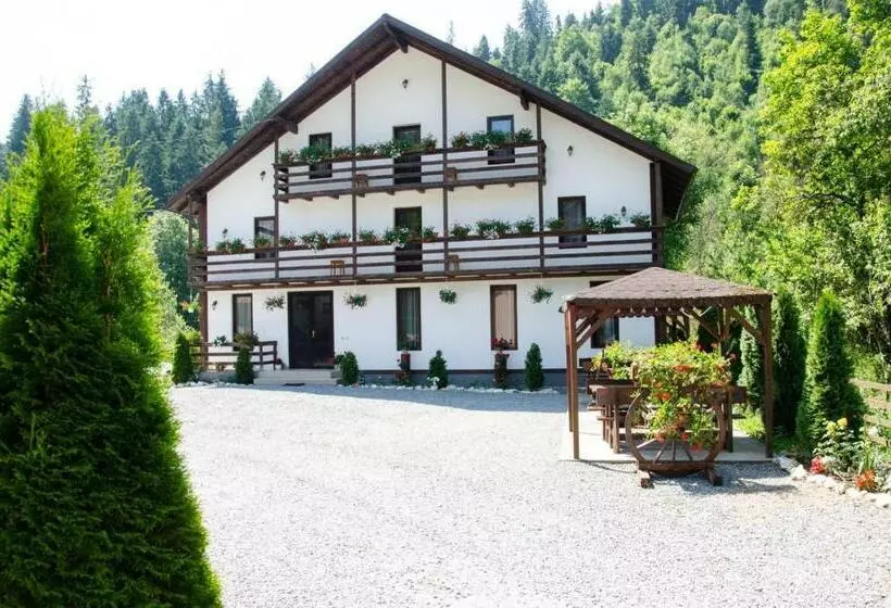هتل Casa Ursului