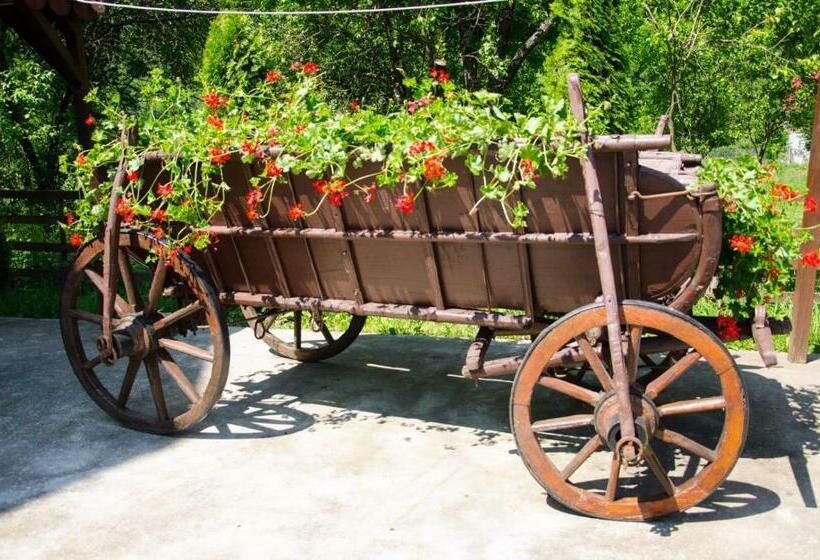 فندق Casa Ursului