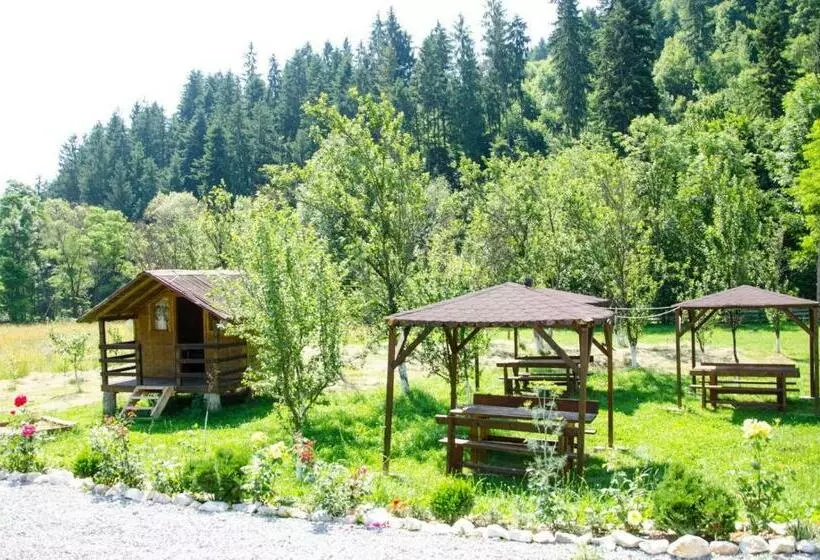 هتل Casa Ursului