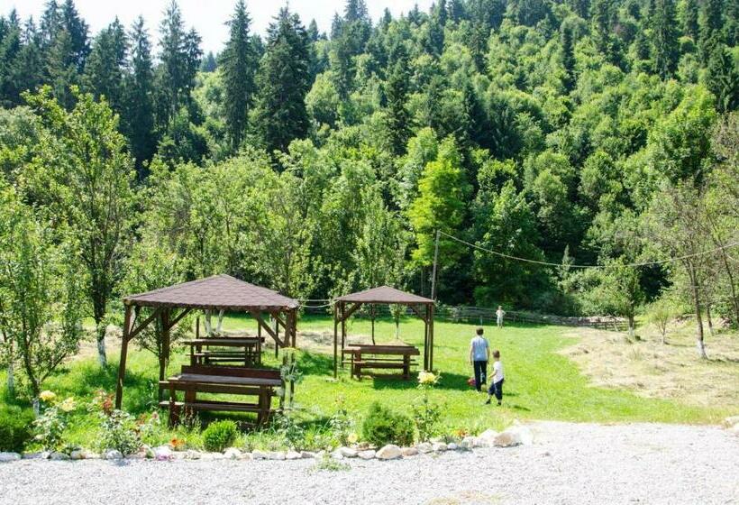 فندق Casa Ursului