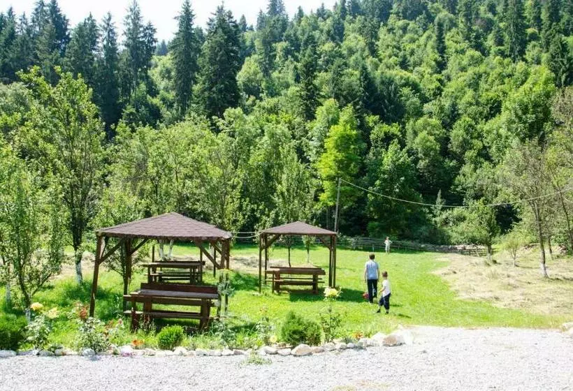 هتل Casa Ursului
