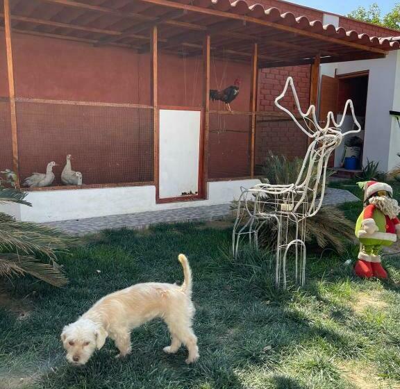 Отель Costa Andina