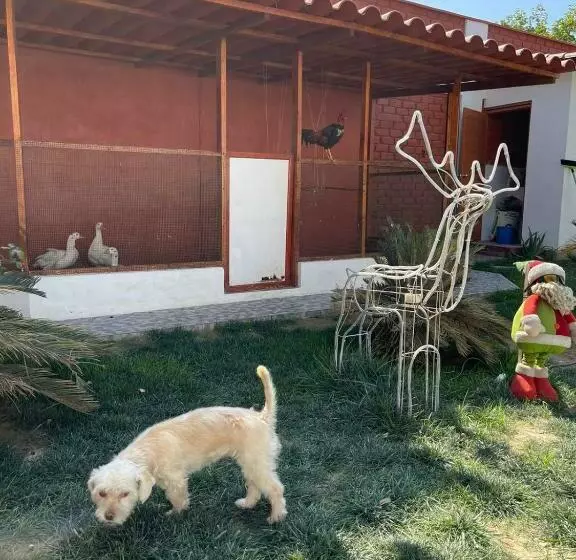 ホテル Costa Andina