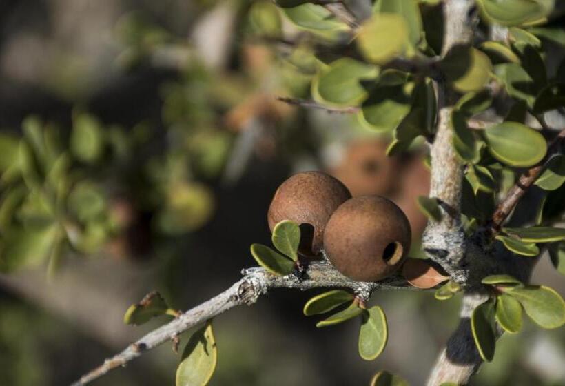 فندق Estancia La Angostura