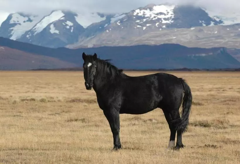 ホテル Estancia La Angostura