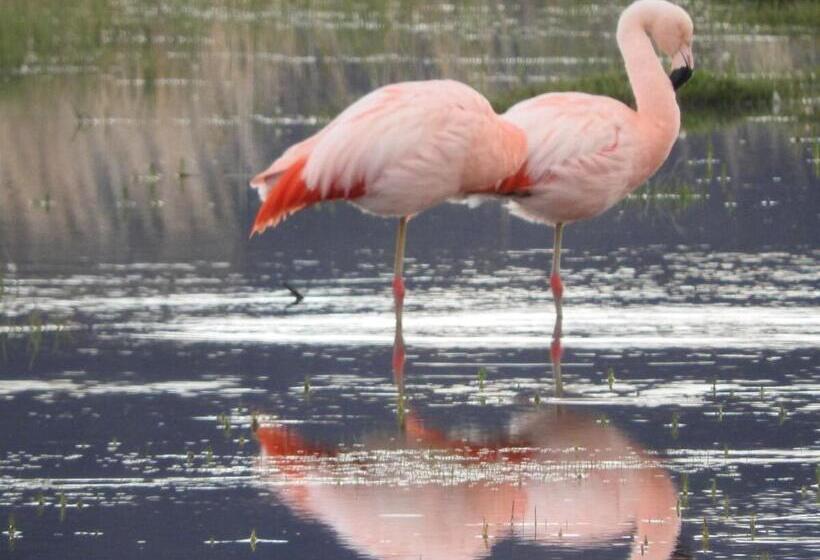 فندق Estancia La Angostura