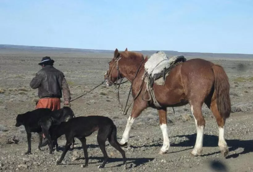 ホテル Estancia La Angostura
