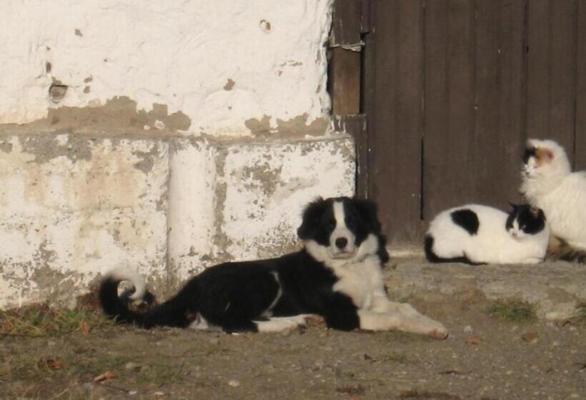 فندق Estancia La Angostura