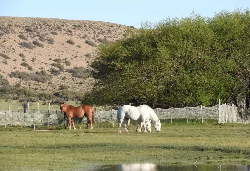 ホテル Estancia La Angostura