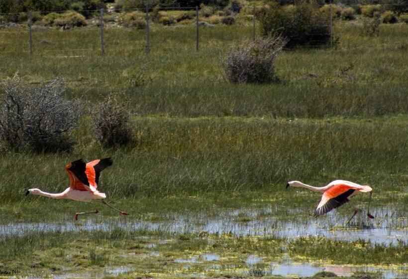 فندق Estancia La Angostura