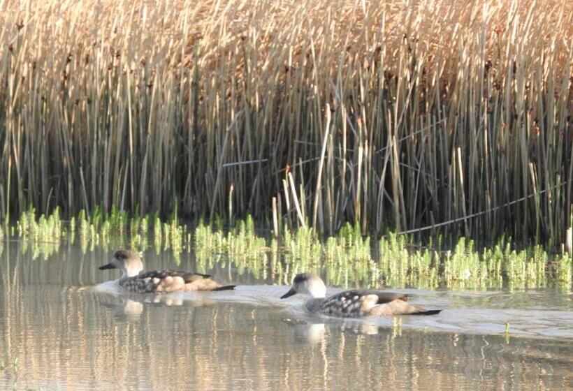 فندق Estancia La Angostura