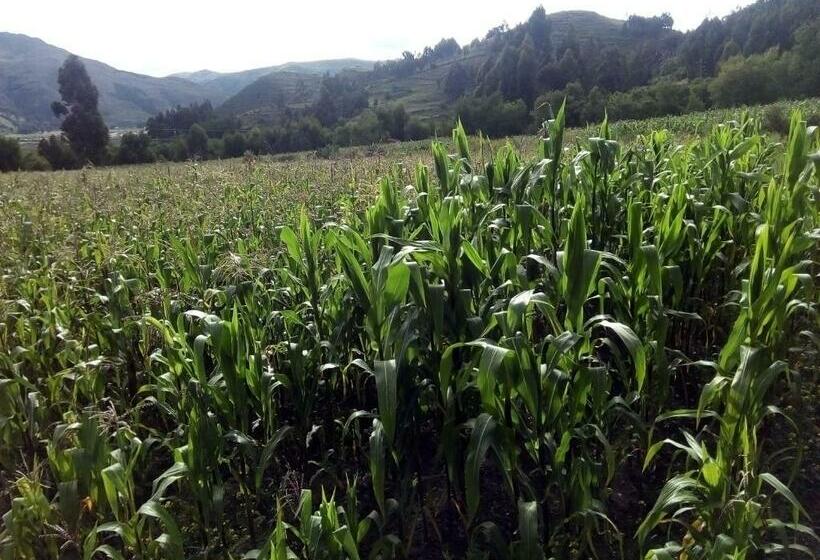 בית מלון כפרי Hostal Inca