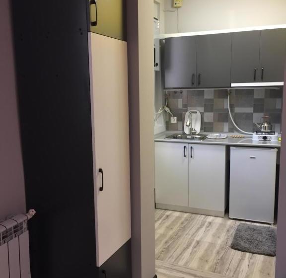 펜션 мини дом целиком возле клиники астхик