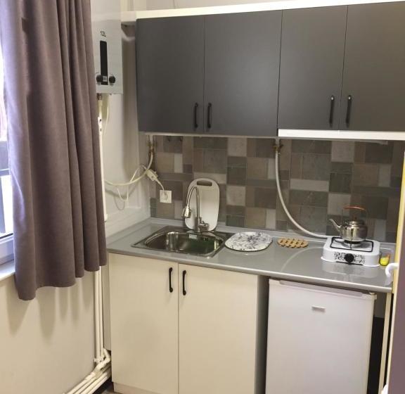 펜션 мини дом целиком возле клиники астхик