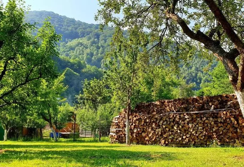 ペンション Casa Maria Transalpina