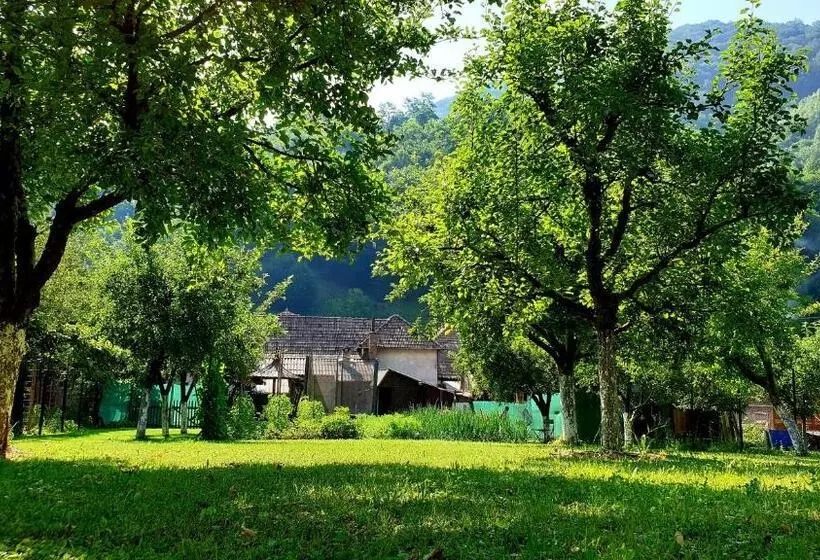 ペンション Casa Maria Transalpina