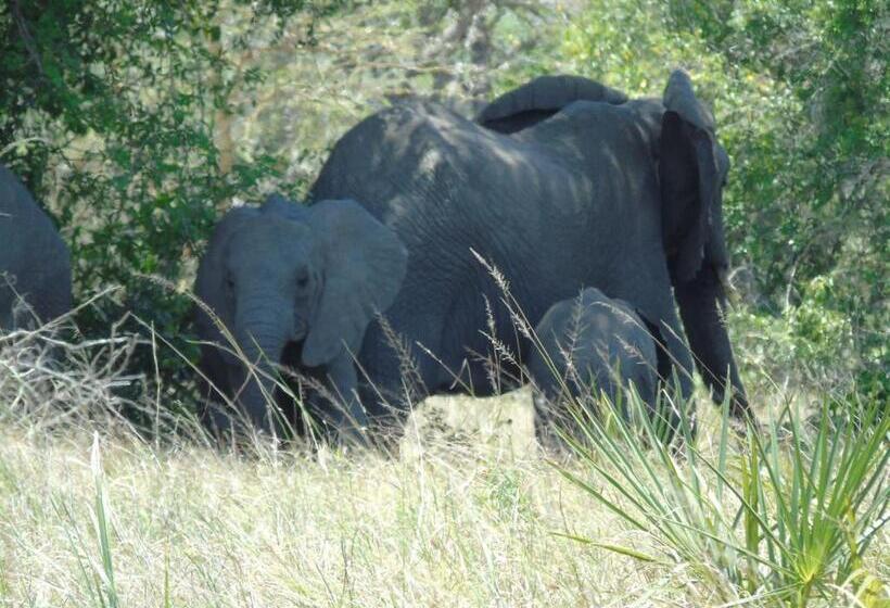 펜션 Idc Guest House