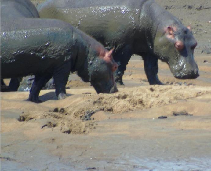 펜션 Idc Guest House