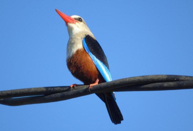 펜션 Idc Guest House