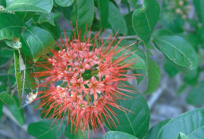 펜션 Idc Guest House