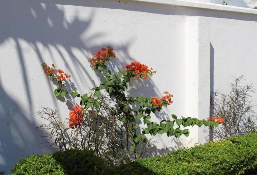 펜션 Idc Guest House