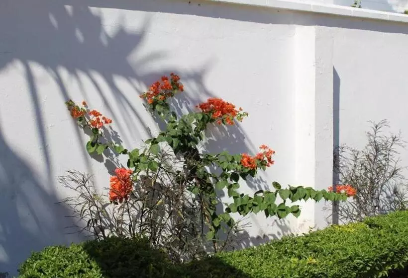 پانسیون Idc Guest House