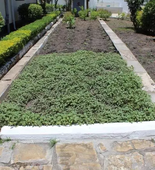 پانسیون Idc Guest House