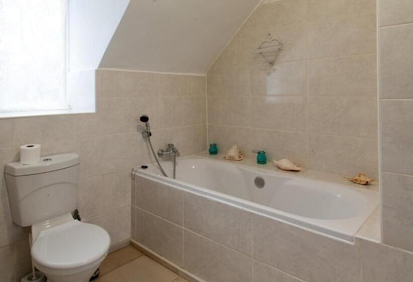 بنسيون The Manor House