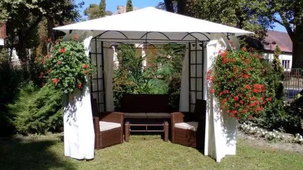 Apartman Orgona
