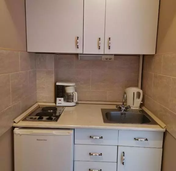 Apartman Orgona