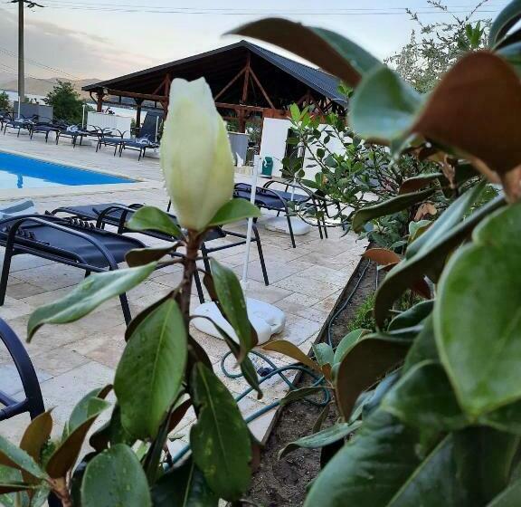 Clisura Dunarii Pensiunea Casa Creta