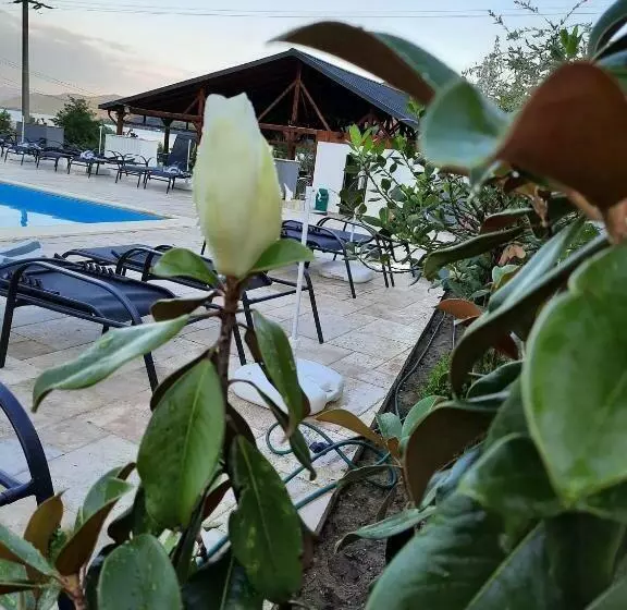 Clisura Dunarii   Pensiunea Casa Creta