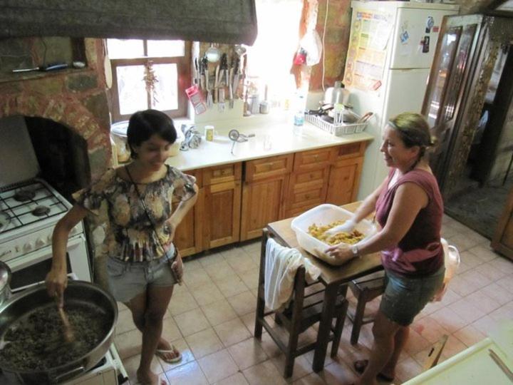 پانسیون Olympos Koyevi Countryhouse