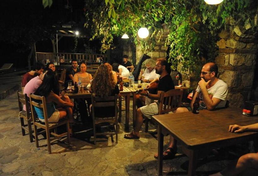 پانسیون Olympos Koyevi Countryhouse