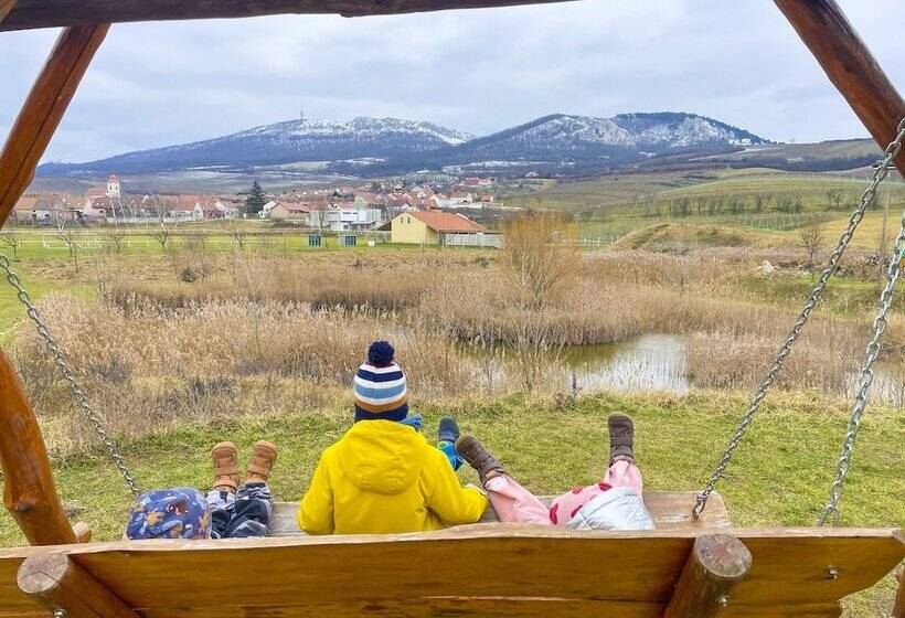 بنسيون Amenity Penzion Horni Vestonice