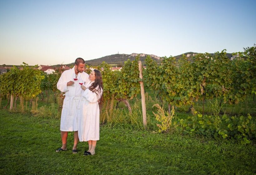 بنسيون Amenity Penzion Horni Vestonice