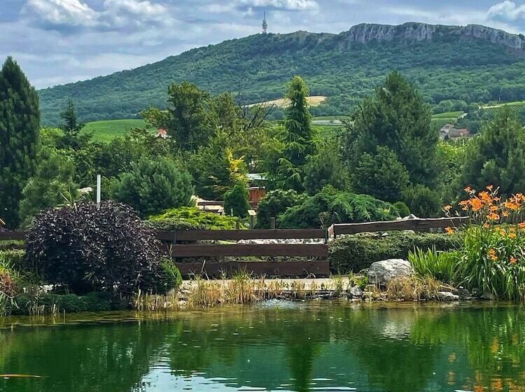 بنسيون Amenity Penzion Horni Vestonice