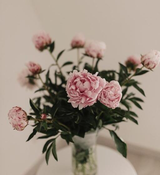 פנסיון Il Giramondo Suite&room