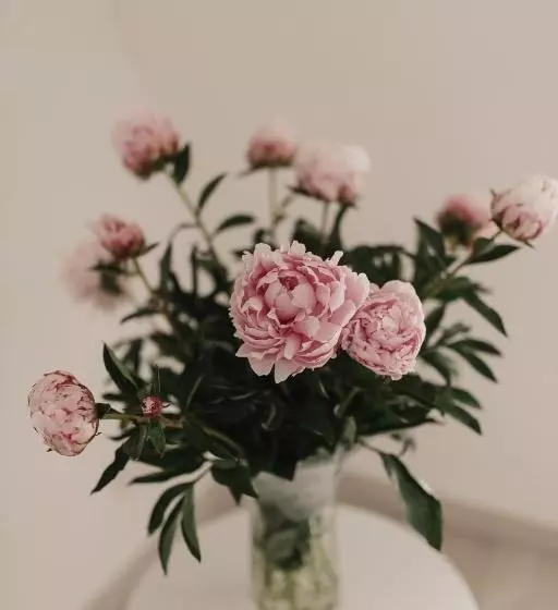 پانسیون Il Giramondo Suite&room