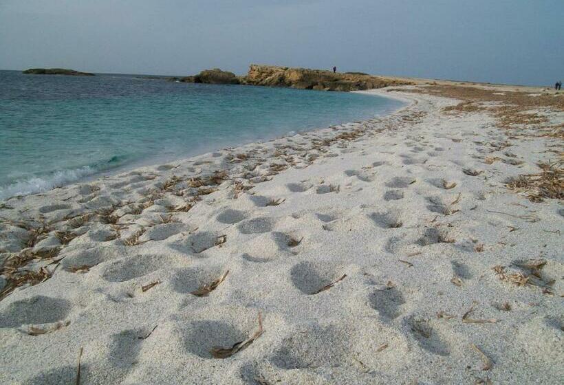 پانسیون Notte Di Luna Room & Breakfast