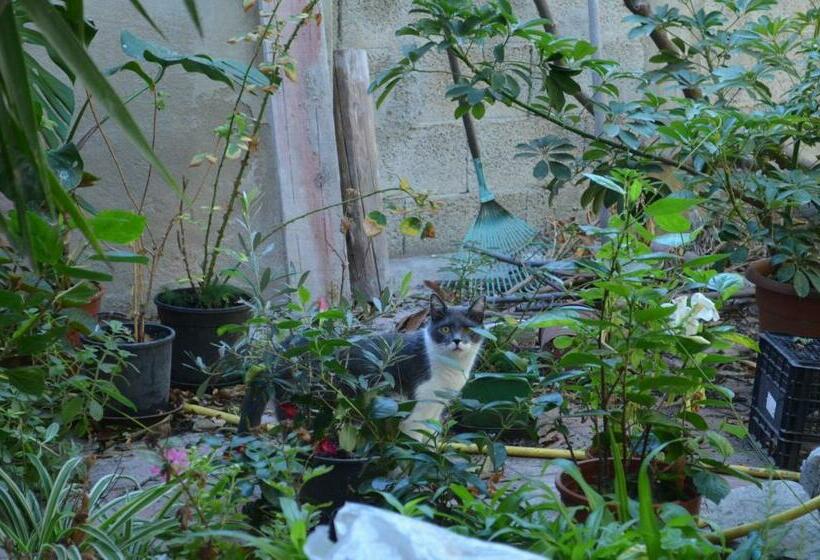 پانسیون Notte Di Luna Room & Breakfast