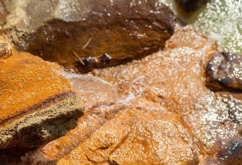 ريوكان Sakurajima Seaside