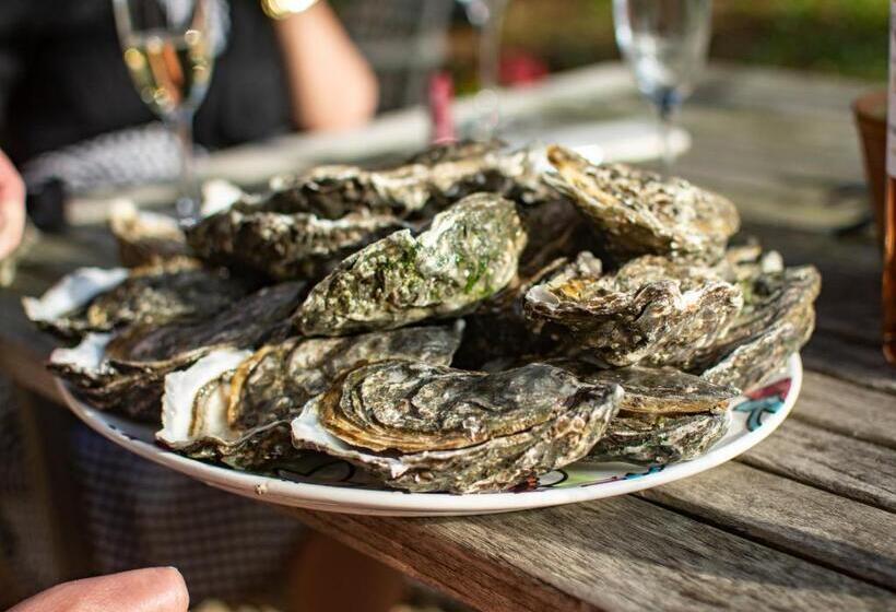 Vandenbeld Wines B&b