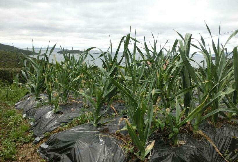 Hostel ペンションみかんの郷