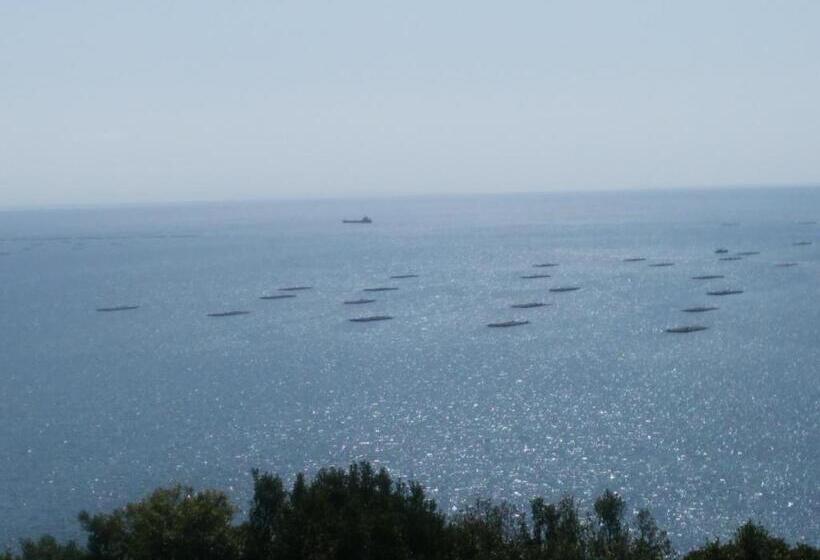 Hostel ペンションみかんの郷